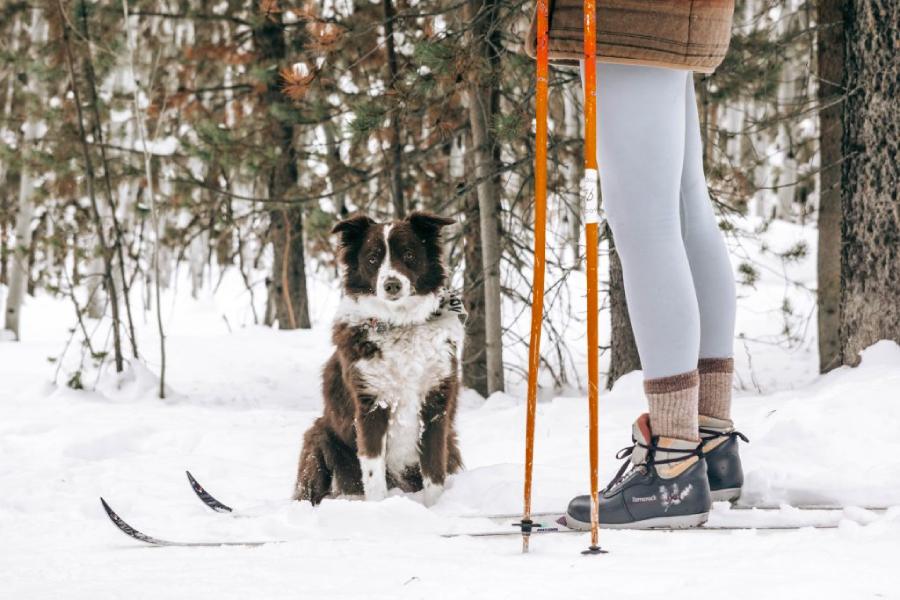 Backcountry women's legging