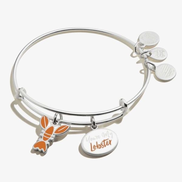 Alex and Ani Friends ‘You’re My Lobster’ Duo Charm Bangle